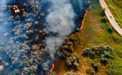 Image: Adobe An aerial photo of a bushfire
